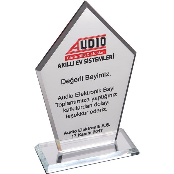 EKT-161-FM Kristal Plaket